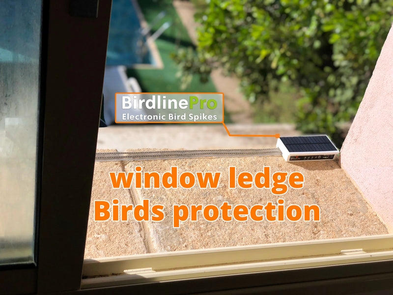 BirdLine Pro 2m Solar