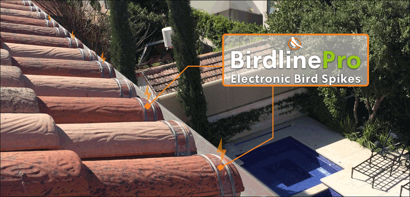 10 meter BirdLine Pro Insulation strip HDPE-UV stabilized